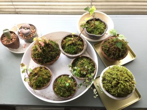 寄せ集めて